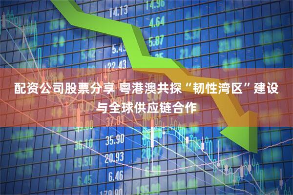 配资公司股票分享 粤港澳共探“韧性湾区”建设与全球供应链合作