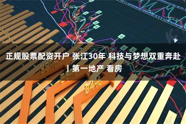 正规股票配资开户 张江30年 科技与梦想双重奔赴丨第一地产 看房