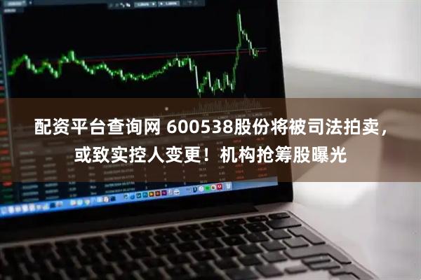 配资平台查询网 600538股份将被司法拍卖，或致实控人变更！机构抢筹股曝光